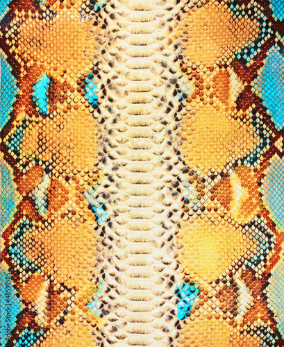 Photo: Snake skin background Snake skin background