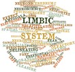 Word cloud for Limbic system