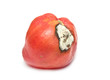 rotten tomato
