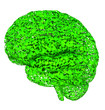 Illustration: Eco mind Eco mind
