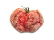 rotten tomato