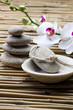 Foto: pedicure pampering pedicure pampering