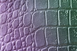 snake skin background