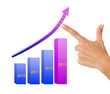 Chart of profit