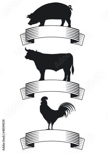 Vector: Rind, Schwein, Geflügel Rind, Schwein, Geflügel