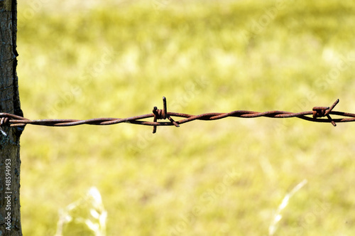 Photo: Barbed Wire Barbed Wire