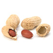 Peanut
