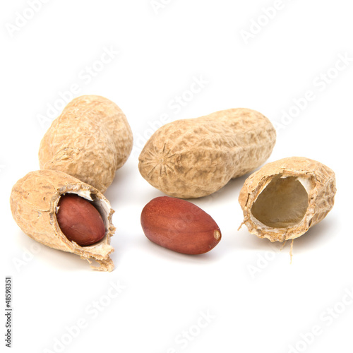 Photo: Peanut Peanut