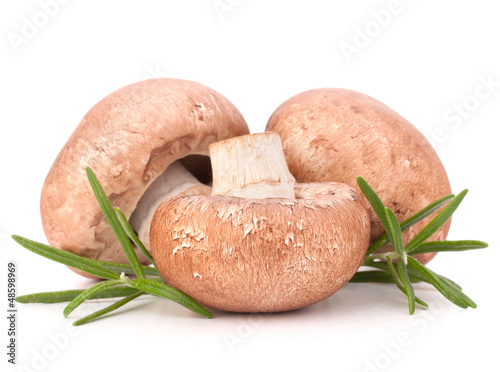 Photo: Brown champignon mushroom and rosemary leaves Brown champignon mushroom and rosemary leaves