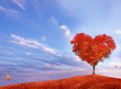 Tree of love