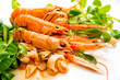 Scampi - Crostacei