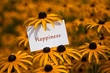Happiness