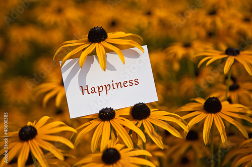 Photo: Happiness Happiness