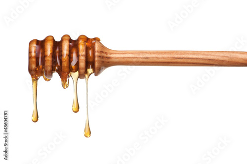 Photo: Drop of honey Drop of honey