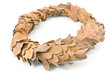 Wreath of oak leaves i