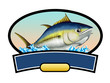 Tuna fish