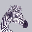 Zebra head, vector drawing EPS 10
