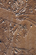 Terre argileuse gelée
