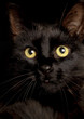 Fotolia_17.01.2013