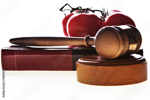 Photo: Food law image with gavel, book and food. Food law image with gavel, book and food.
