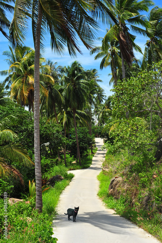 Photo: Passage through the paradise, Koh Tao, Thailand Passage through the paradise, Koh Tao, Thailand