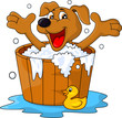 Dog bathing time