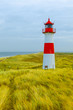 Leuchtturm auf Dünen am Meer
