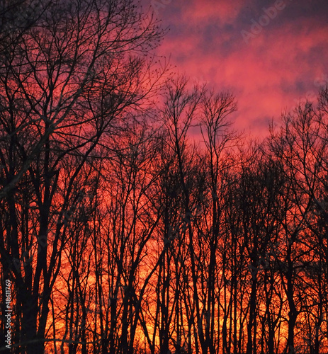 Photo: Fire in the sky Fire in the sky