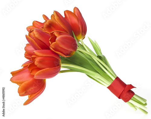 Photo: bunch of tulips isolated on white background bunch of tulips isolated on white background