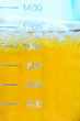 Mould Colonies