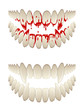 Vektor: Bloody teeth Bloody teeth