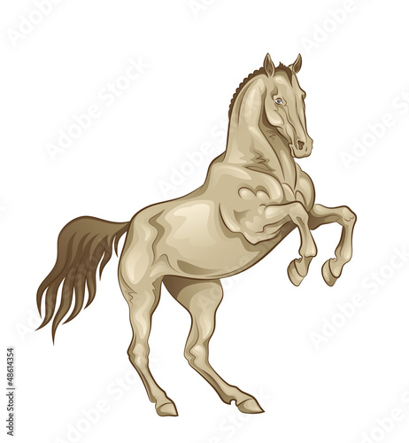 Vector: Playful horse Playful horse