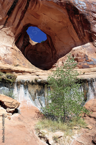 Photo: vertical view Bowtie Arch vertical view Bowtie Arch