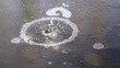 Stein fliegt in gefrorenen See - Zeitlupe