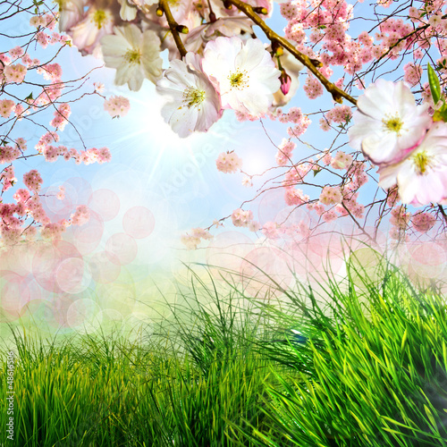 Photo: Frühling, Frohe Ostern, Hintergrund mit Kirschblüten Frühling, Frohe Ostern, Hintergrund mit Kirschblüten