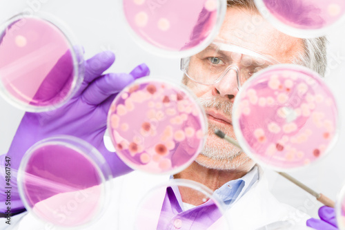 Photo: Senior life science researcher grafting bacteria. Senior life science researcher grafting bacteria.