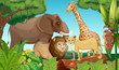 Animals in the jungle