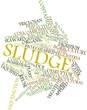 Word cloud for Sludge