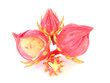 Roselle