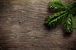 fir branch on wooden backgound
