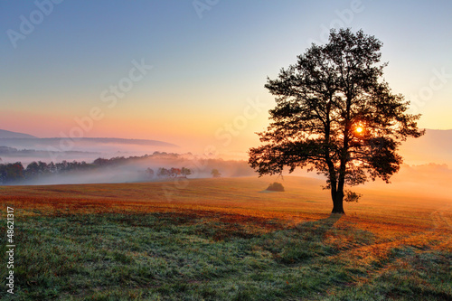 Photo: Alone tree on meadow at sunset with sun and mist Alone tree on meadow at sunset with sun and mist