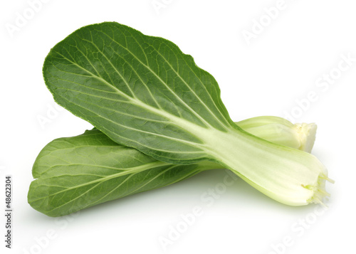 Photo: Bok Choy, Chinese cabbage Bok Choy, Chinese cabbage