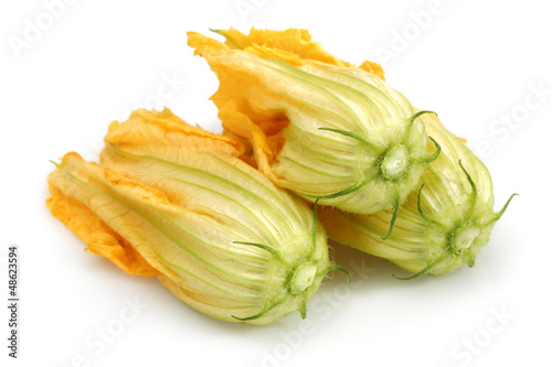 Photo: Squash Blossoms Squash Blossoms
