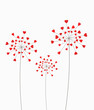 Heart dandelion