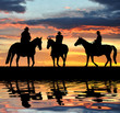 Silhouette cowboys with horses in the sunset