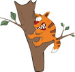 Cat on a tree. Cartoon