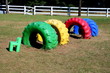 Painted Wheels