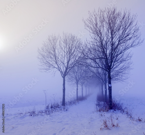Photo: Atmospheric winter landscape Atmospheric winter landscape