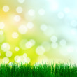 Grass