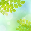 Vektor: Fresh leaves and light glitter vector Fresh leaves and light glitter vector